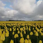 Camping De Tulpenweide Lege Kampeerplaats, Lege Plaats Op Het Gras Zonder Bed *