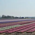 De Tulpenweide Lege Kampeerplaats, Lege Plaats Op Het Gras Zonder Bed *