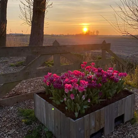 De Tulpenweide Lege Kampeerplaats, Lege Plaats Op Het Gras Zonder Bed * Breezand (North Holland)