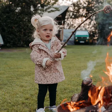 Camping De Tulpenweide Lege Kampeerplaats, Lege Plaats Op Het Gras Zonder Bed Breezand