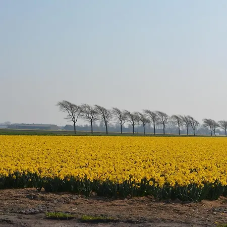 De Tulpenweide Lege Kampeerplaats, Lege Plaats Op Het Gras Zonder Bed *