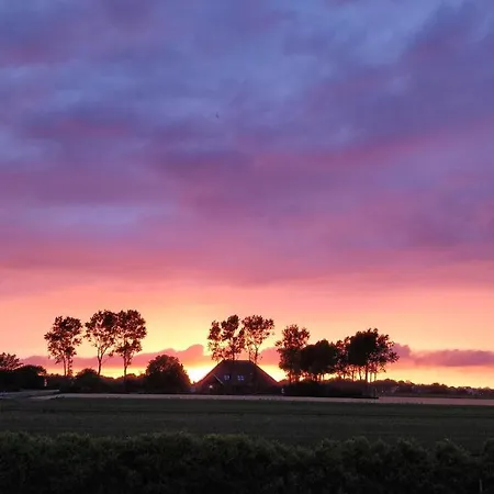Camping De Tulpenweide Lege Kampeerplaats, Lege Plaats Op Het Gras Zonder Bed Breezand (North Holland)
