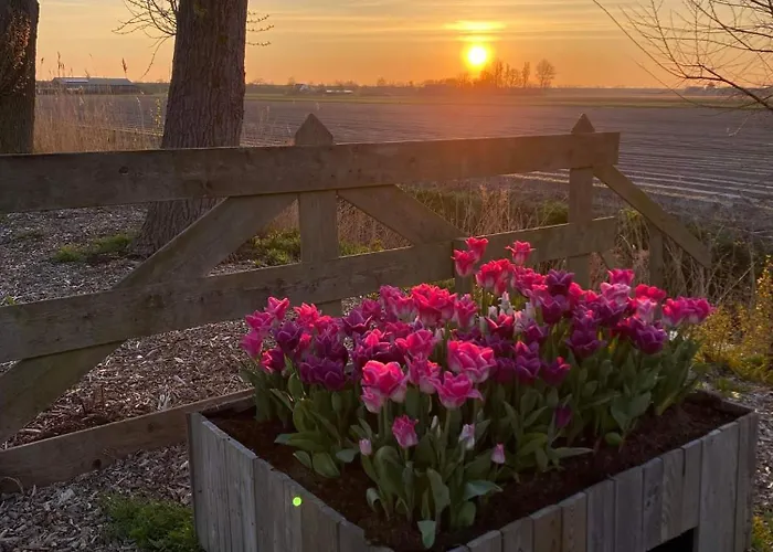 De Tulpenweide Lege Kampeerplaats, Lege Plaats Op Het Gras Zonder Bed * Breezand