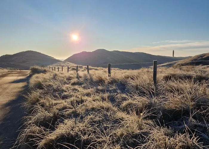 De Tulpenweide Lege Kampeerplaats, Lege Plaats Op Het Gras Zonder Bed Kamp alanı *