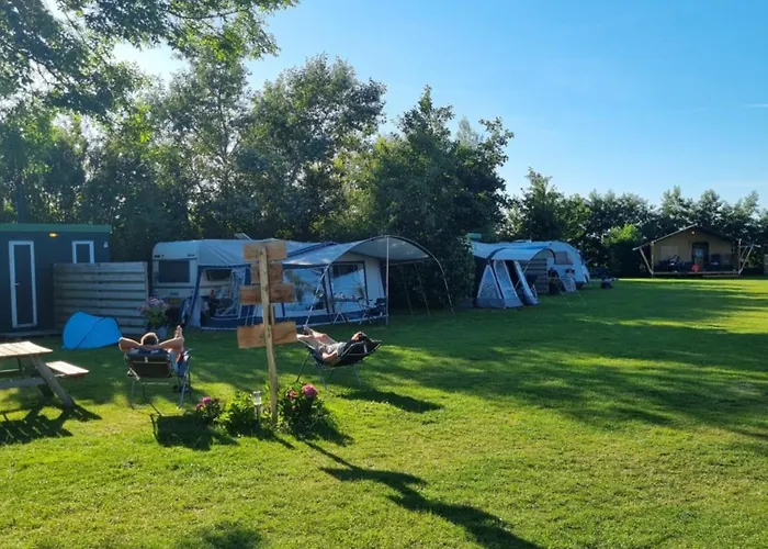 De Tulpenweide Lege Kampeerplaats, Lege Plaats Op Het Gras Zonder Bed Breezand