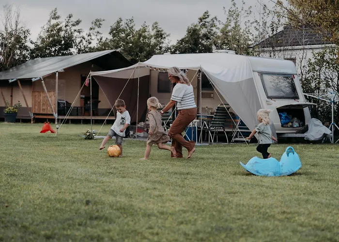 Kamp alanı De Tulpenweide Lege Kampeerplaats, Lege Plaats Op Het Gras Zonder Bed Breezand