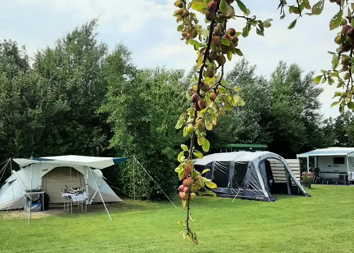 De Tulpenweide Lege Kampeerplaats, Lege Plaats Op Het Gras Zonder Bed Kamp alanı *