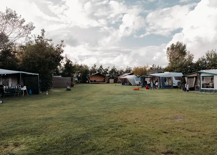 Kamp alanı De Tulpenweide Lege Kampeerplaats, Lege Plaats Op Het Gras Zonder Bed Breezand