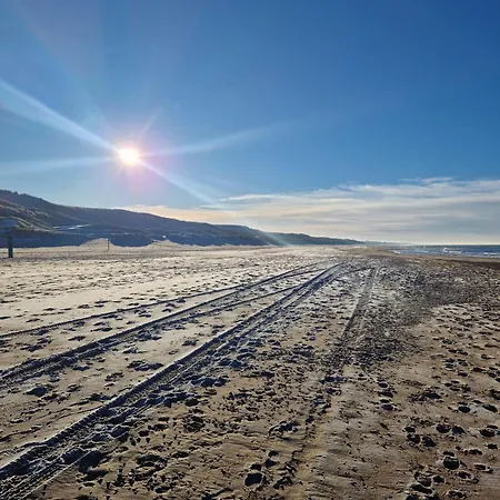 De Tulpenweide Lege Kampeerplaats, Lege Plaats Op Het Gras Zonder Bed キャンプ場 *