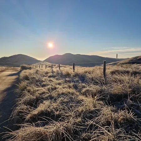 De Tulpenweide Lege Kampeerplaats, Lege Plaats Op Het Gras Zonder Bed キャンプ場 *