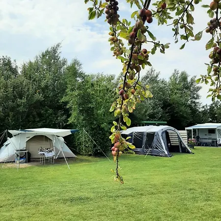 De Tulpenweide Lege Kampeerplaats, Lege Plaats Op Het Gras Zonder Bed キャンプ場 *